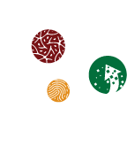 Green System
